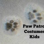 paw patrol costumes kids