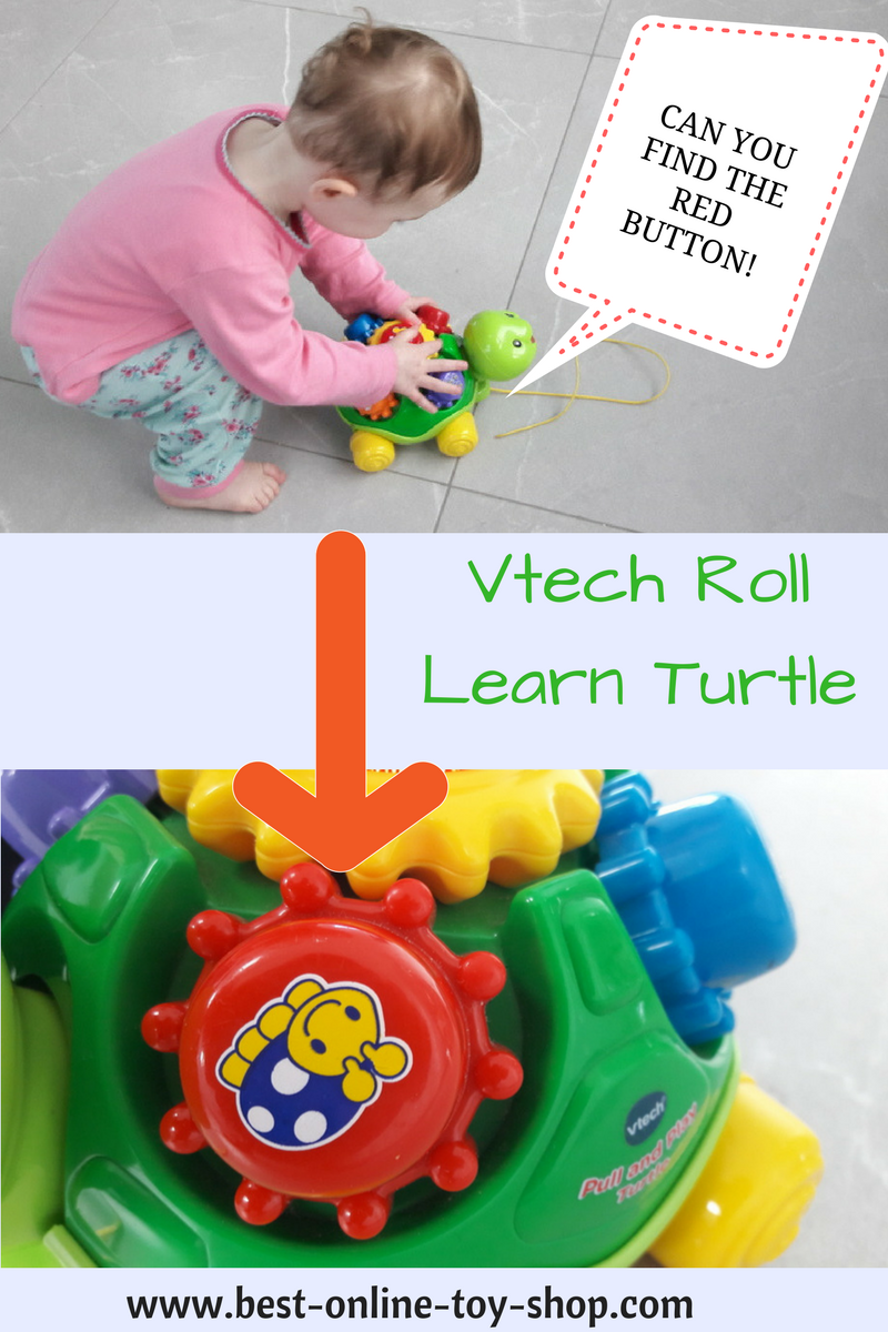 Vtech Pull Along Turtle Fab Pull Along Toys for Toddlers
