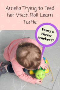 vtech pull along turtle pull along toys for toddlers